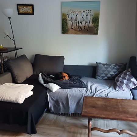 Rez-De-Jardin Grand Studio Appartamento Cros-de-Cagnes Esterno foto