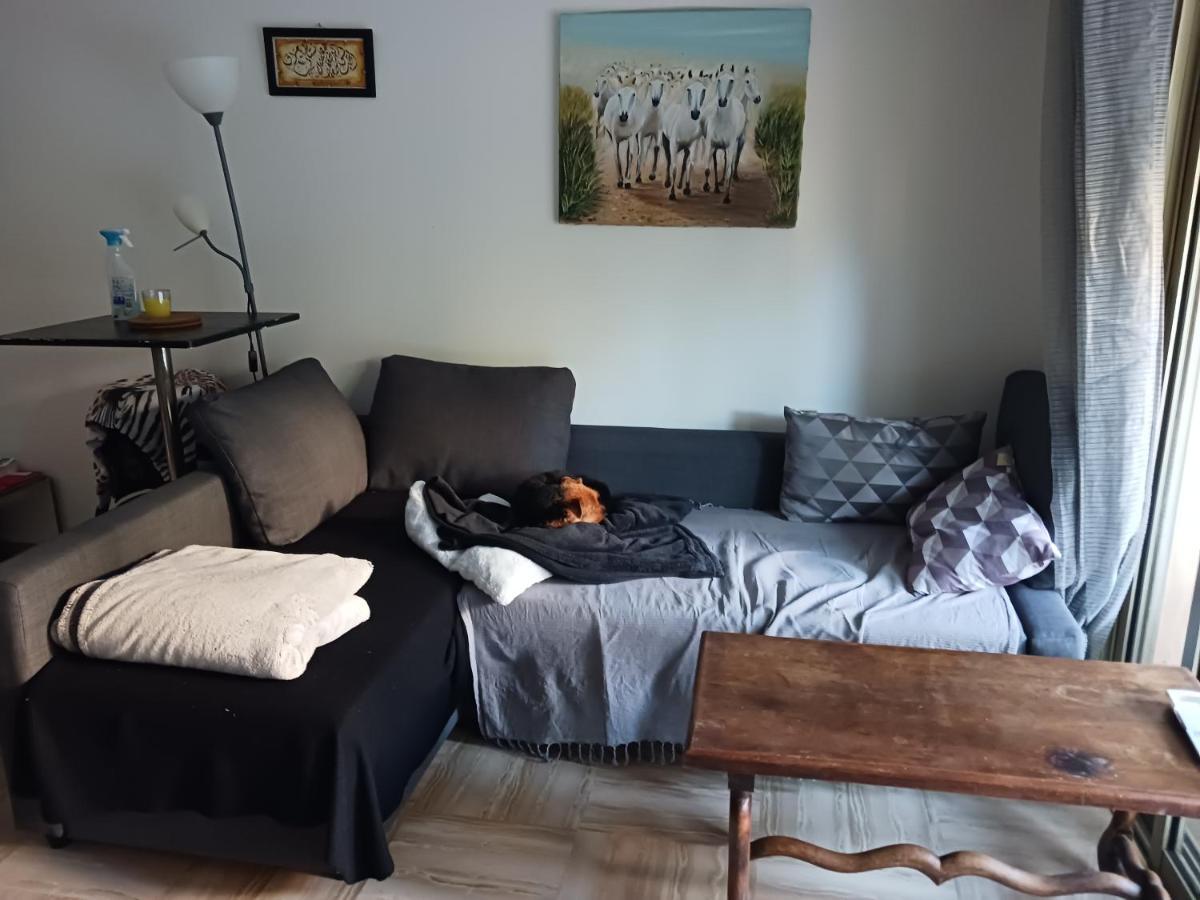 Rez-De-Jardin Grand Studio Appartamento Cros-de-Cagnes Esterno foto