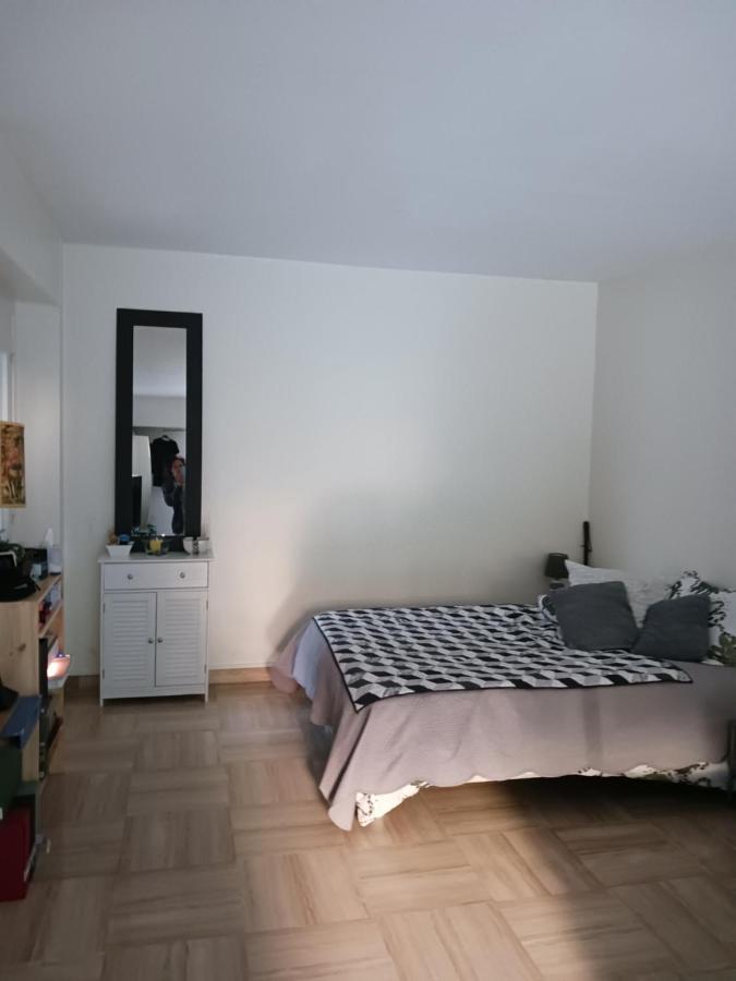 Rez-De-Jardin Grand Studio Appartamento Cros-de-Cagnes Esterno foto